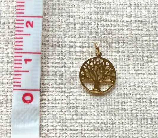 AFRICAN TURQUOISE BABY